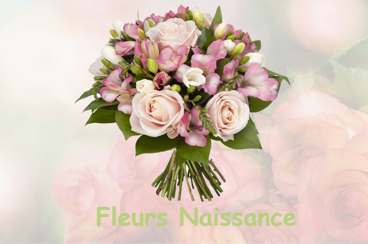 fleurs naissance LABARTHE-INARD