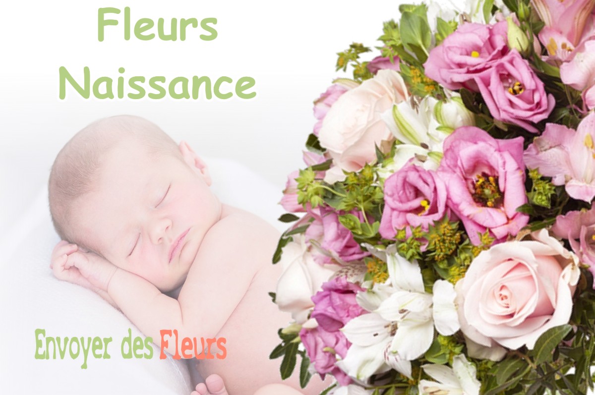 lIVRAISON FLEURS NAISSANCE à LABARTHE-INARD